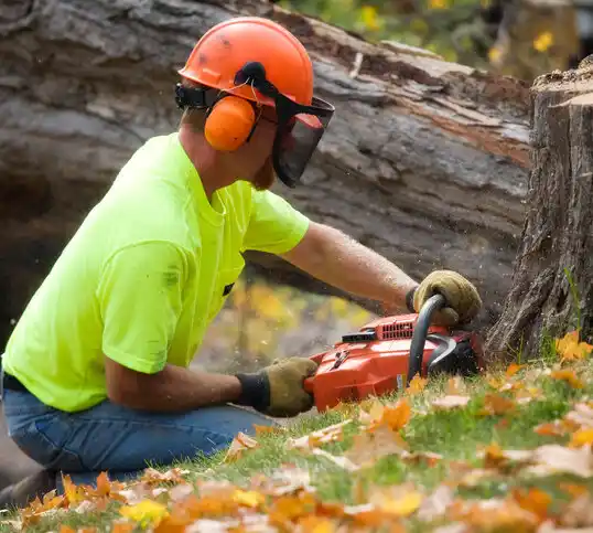 tree services Rugby